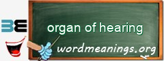 WordMeaning blackboard for organ of hearing